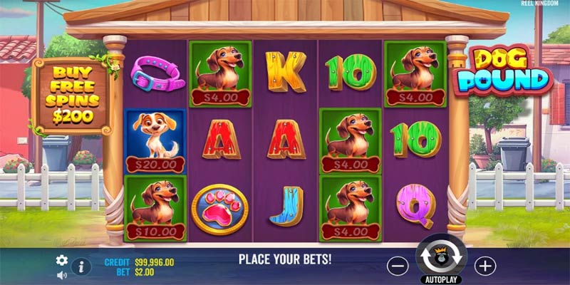 Unleash Wild Wins in the Adorable Dog Pound Slot